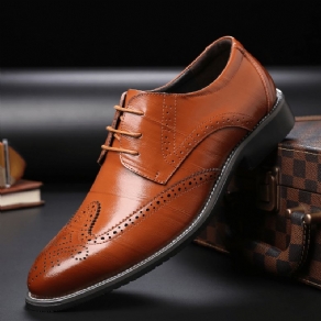 Menico Mænd Brief Koskind Snøre-Up Pointed Toe Business Dress Sko